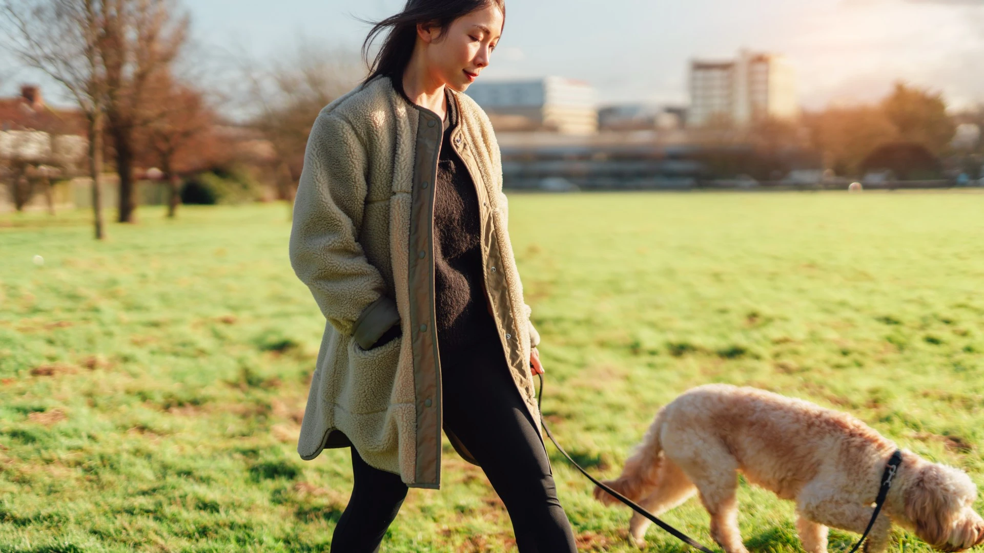 Nearly 7 in 10 dog owners say their pet is their top reason to leave home