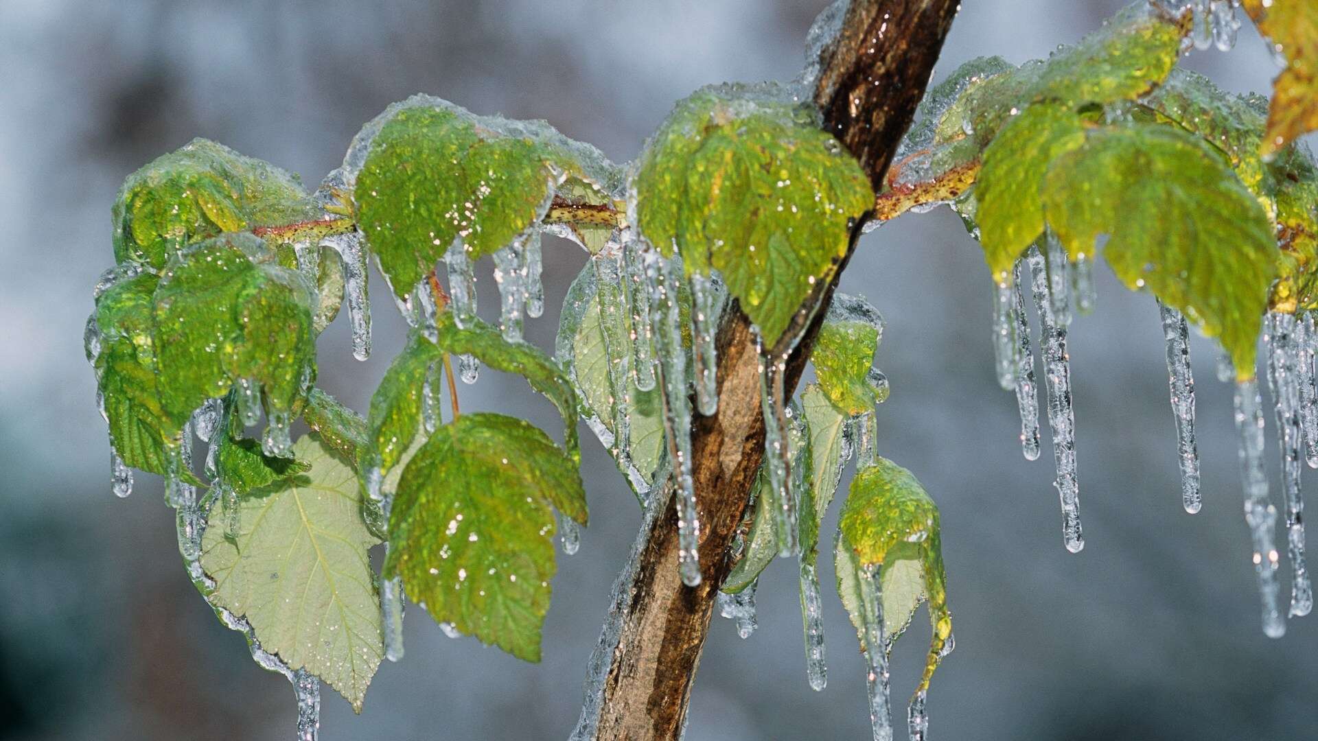 Rare freezing rain that's 'extremely hazardous' for planes to hit UK in just DAYS