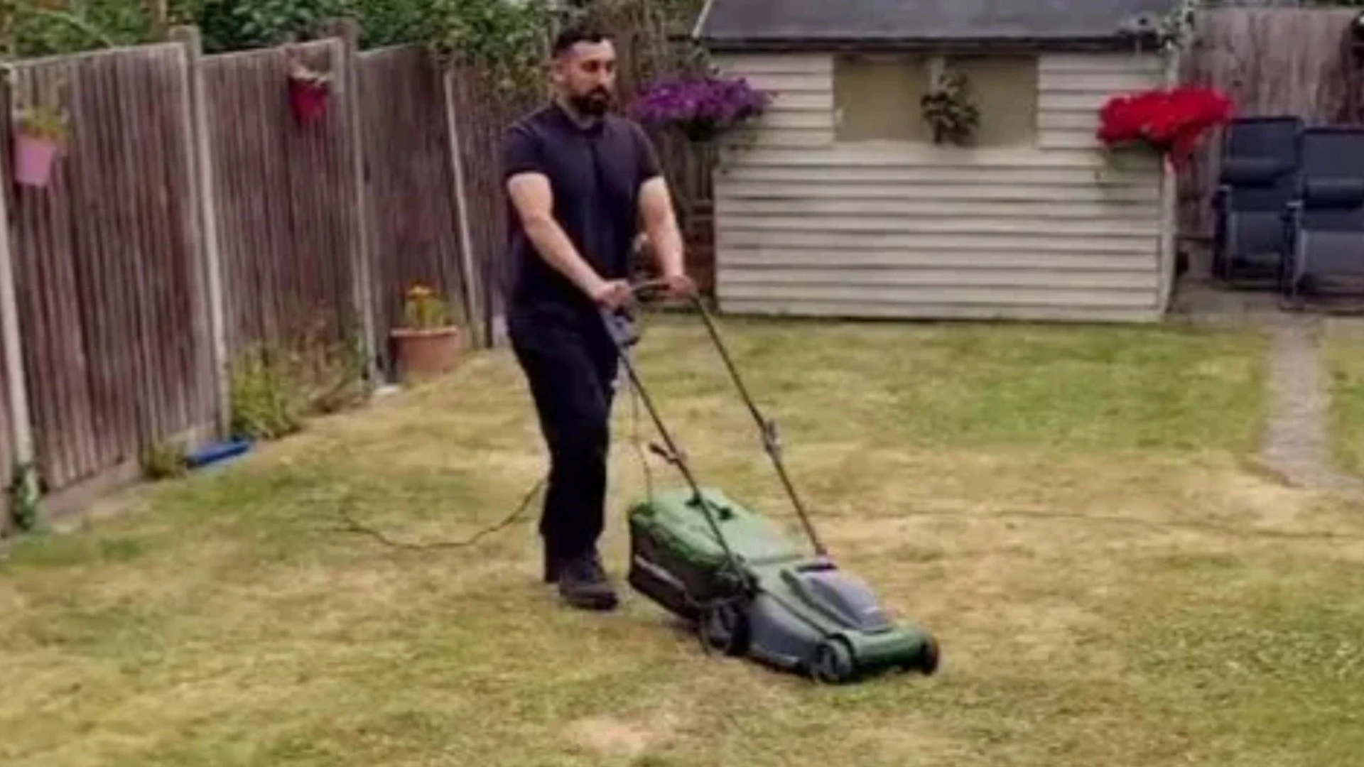 Five tips to ensure you have the best lawn, including the exact time to mow
