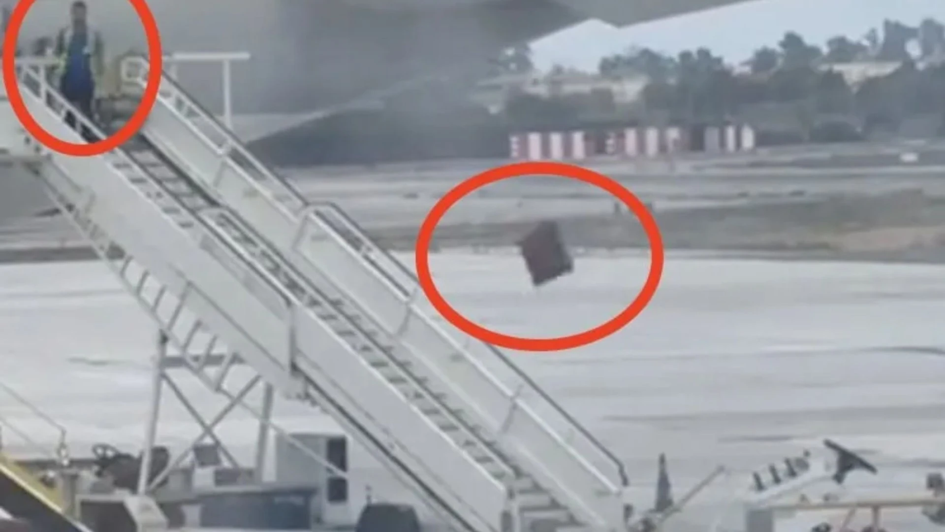 Spanish airport worker filmed hurling bags from plane sparking outrage