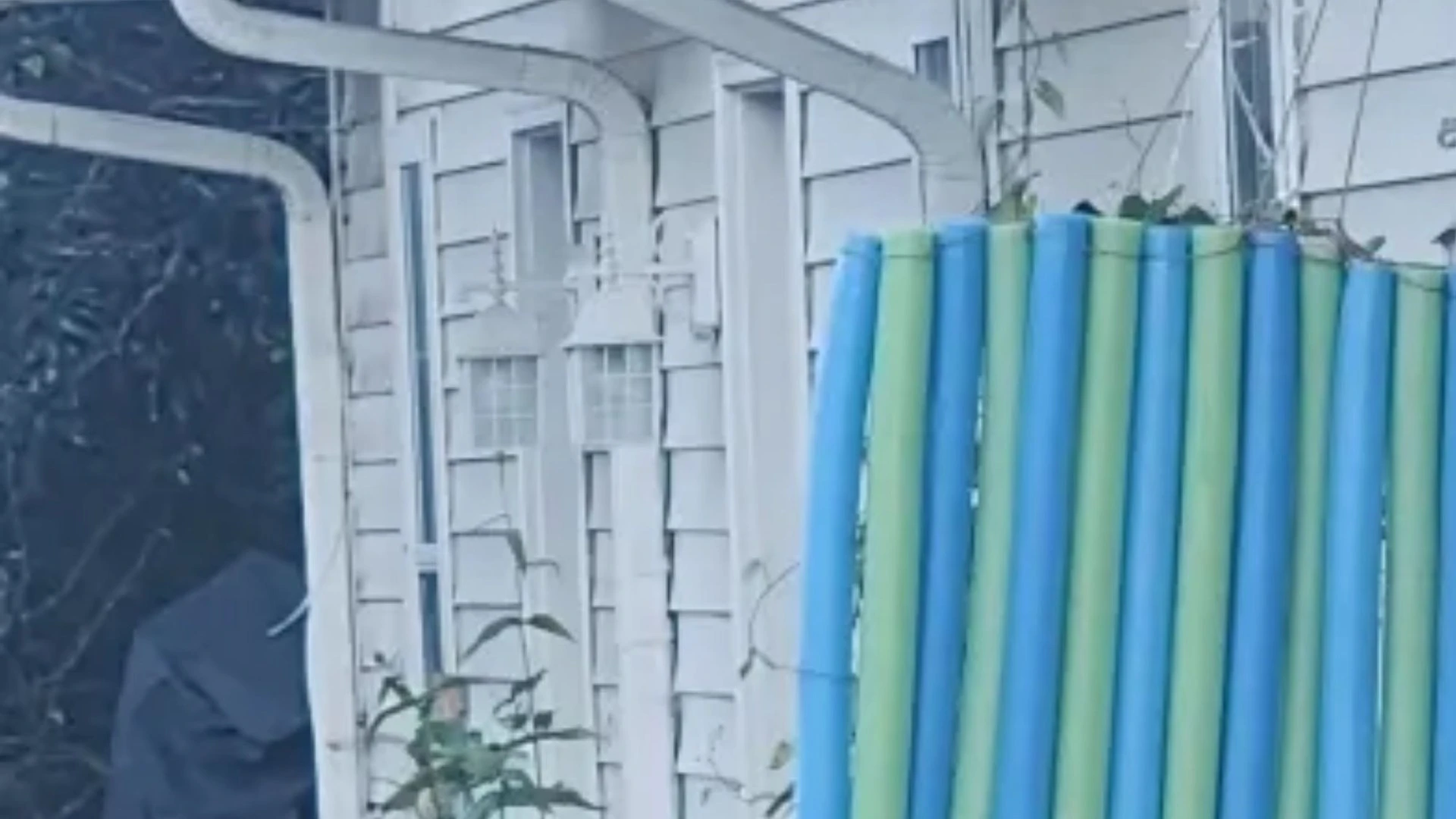 My neighbours have the worst privacy fence, a curtain would have been better