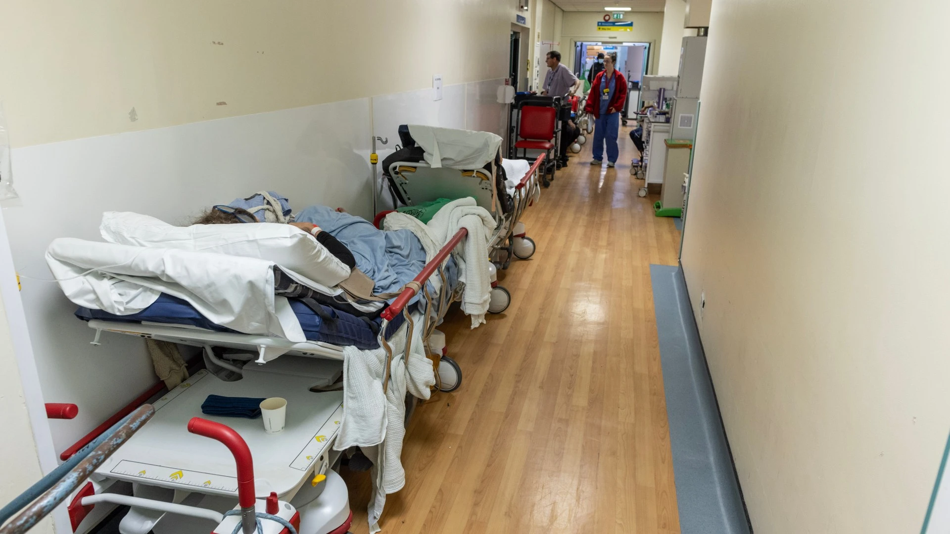 Brits die in NHS wards surrounded by rats so why do we send foreign aid?