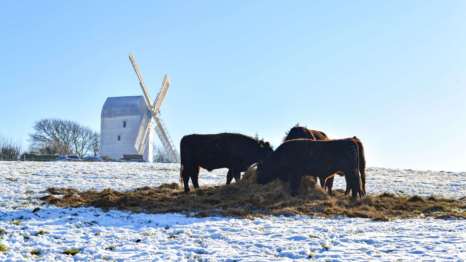 Brits warned ‘check on neighbours’ as 5-day alert issued with SNOW to hit