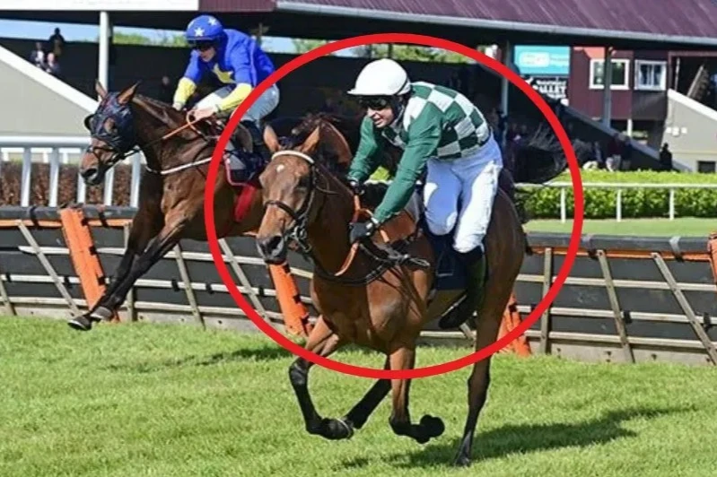 Watch jockey fall off leading horse at final jump as probe launched into incident