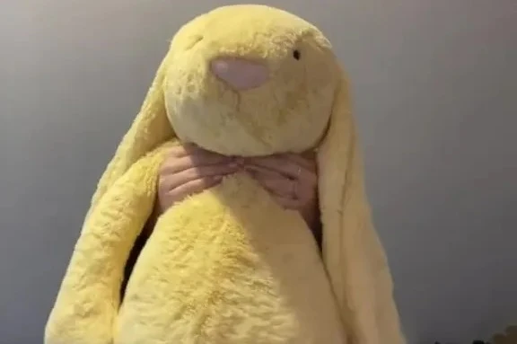 I spotted a huge Jellycat in a local charity shop then discovered how rare he is