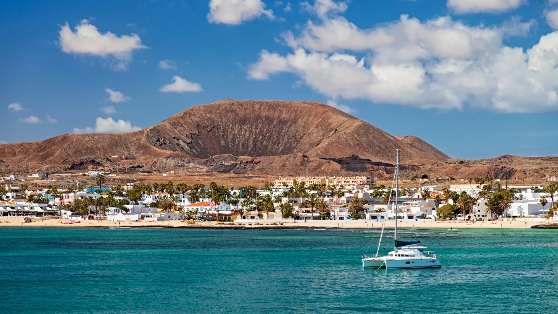 Shark attack off Brit hols hotspot Canary Islands as surfer mauled by beast
