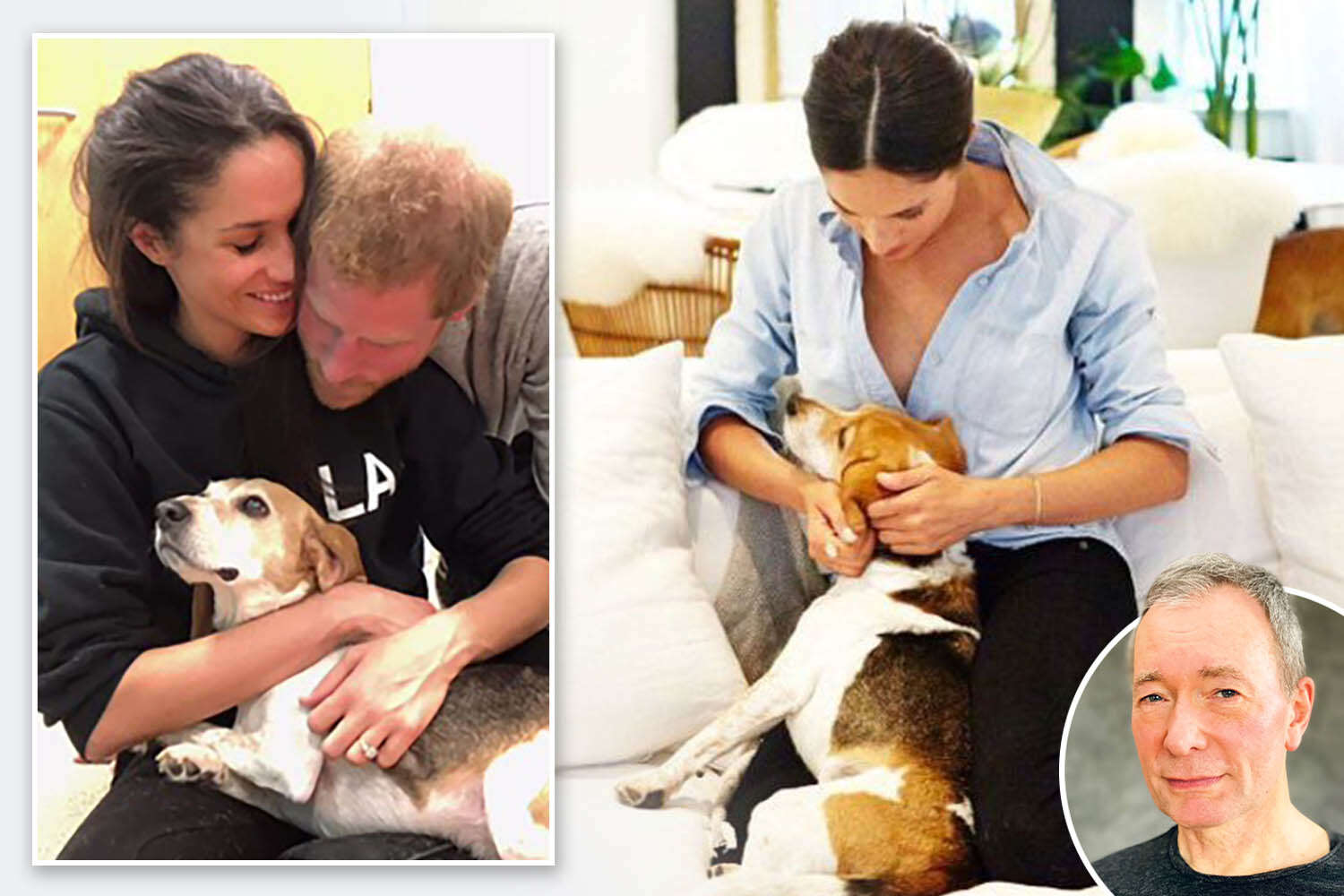 There's a reason why losing a dog cuts us so deeply - just ask Meghan Markle