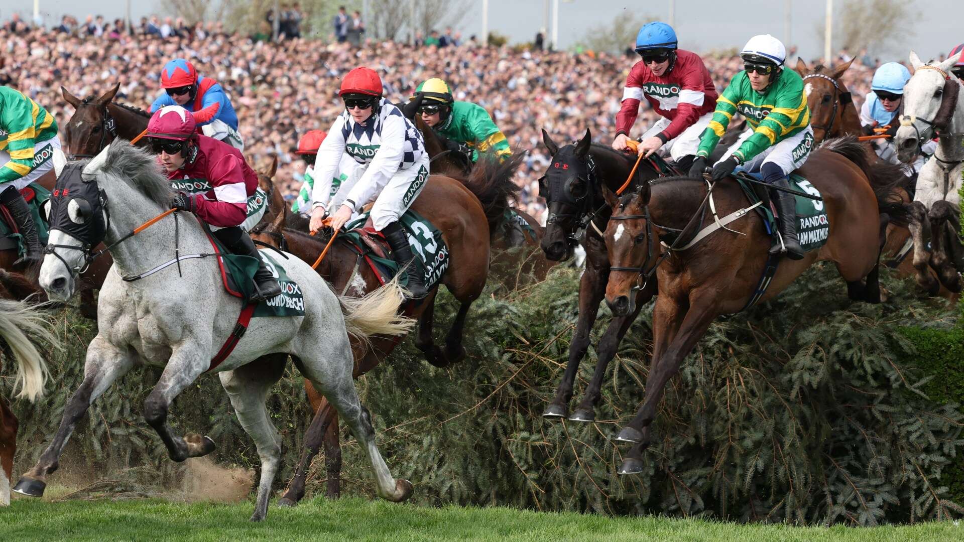 'Dreams have been dashed' as wave of horses pulled from Grand National