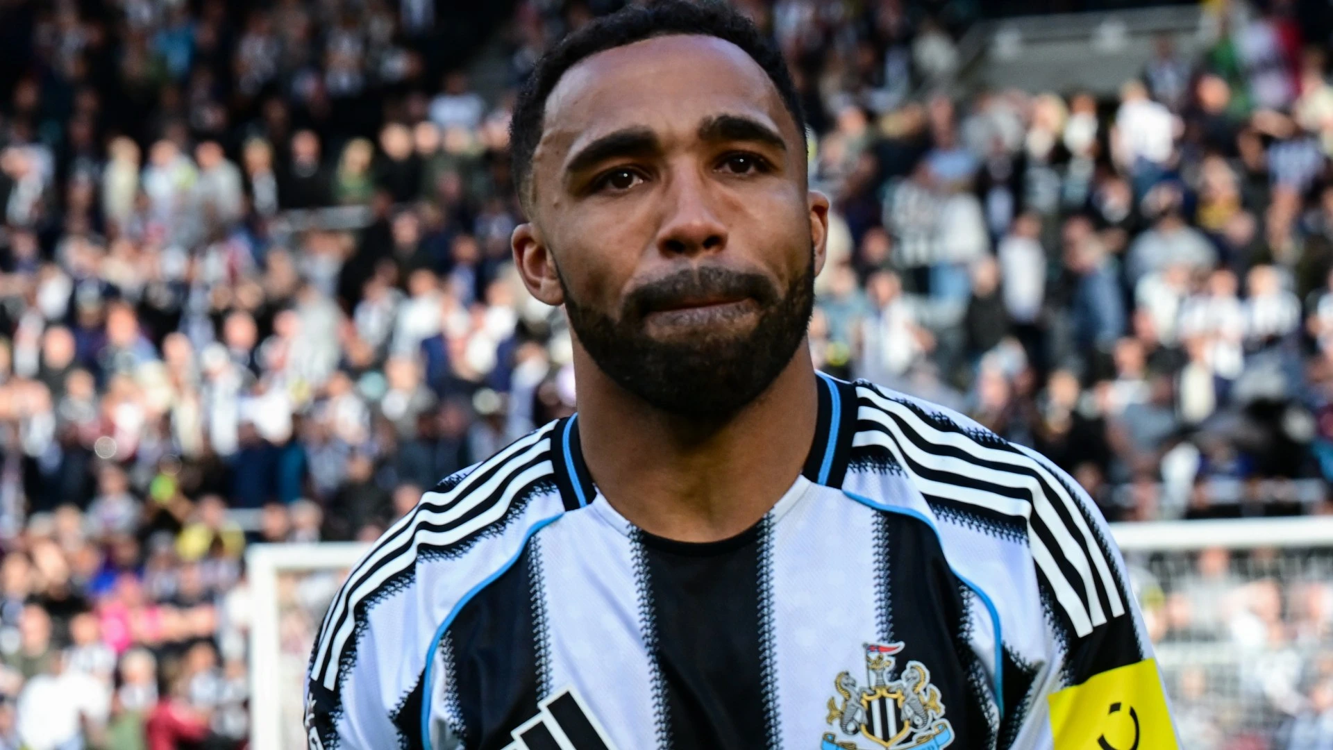 Callum Wilson wanted by two Premier League clubs if he snubs Newcastle offer