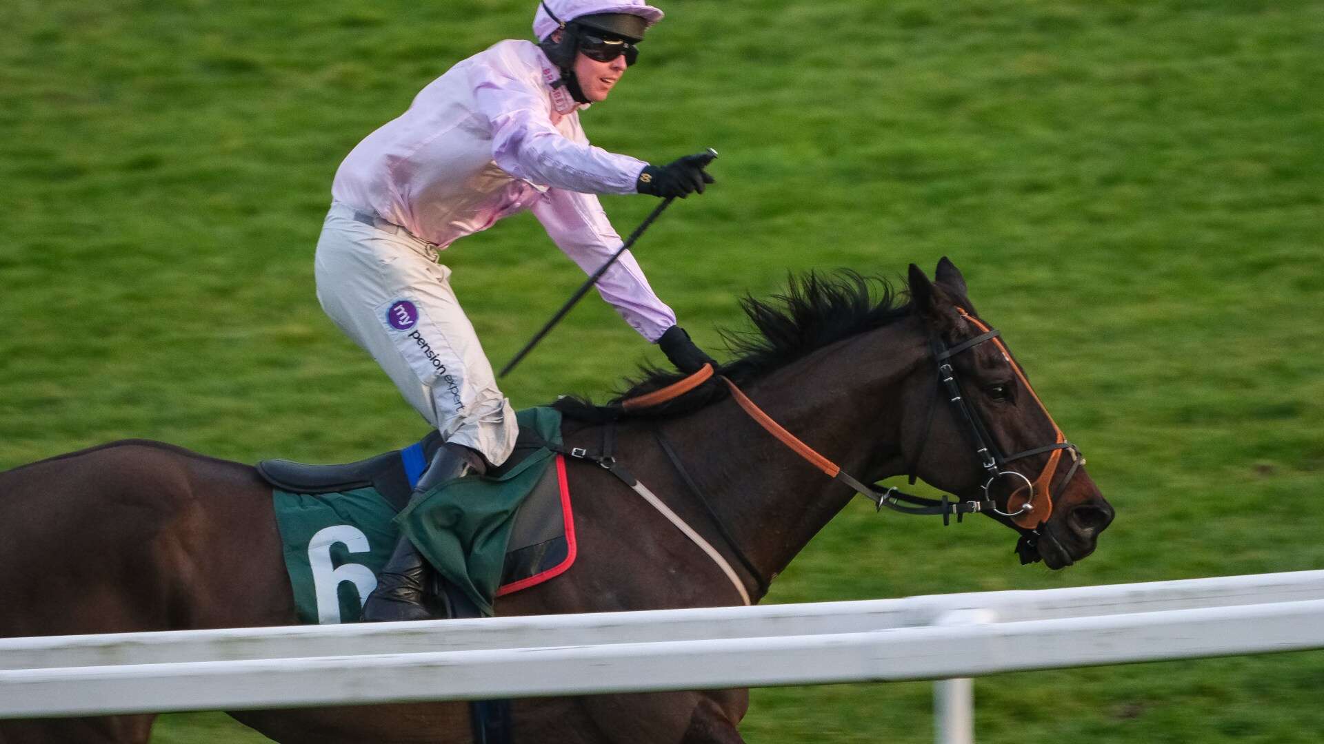 Potential superstar horse who failed drugs test to run at Cheltenham Festival