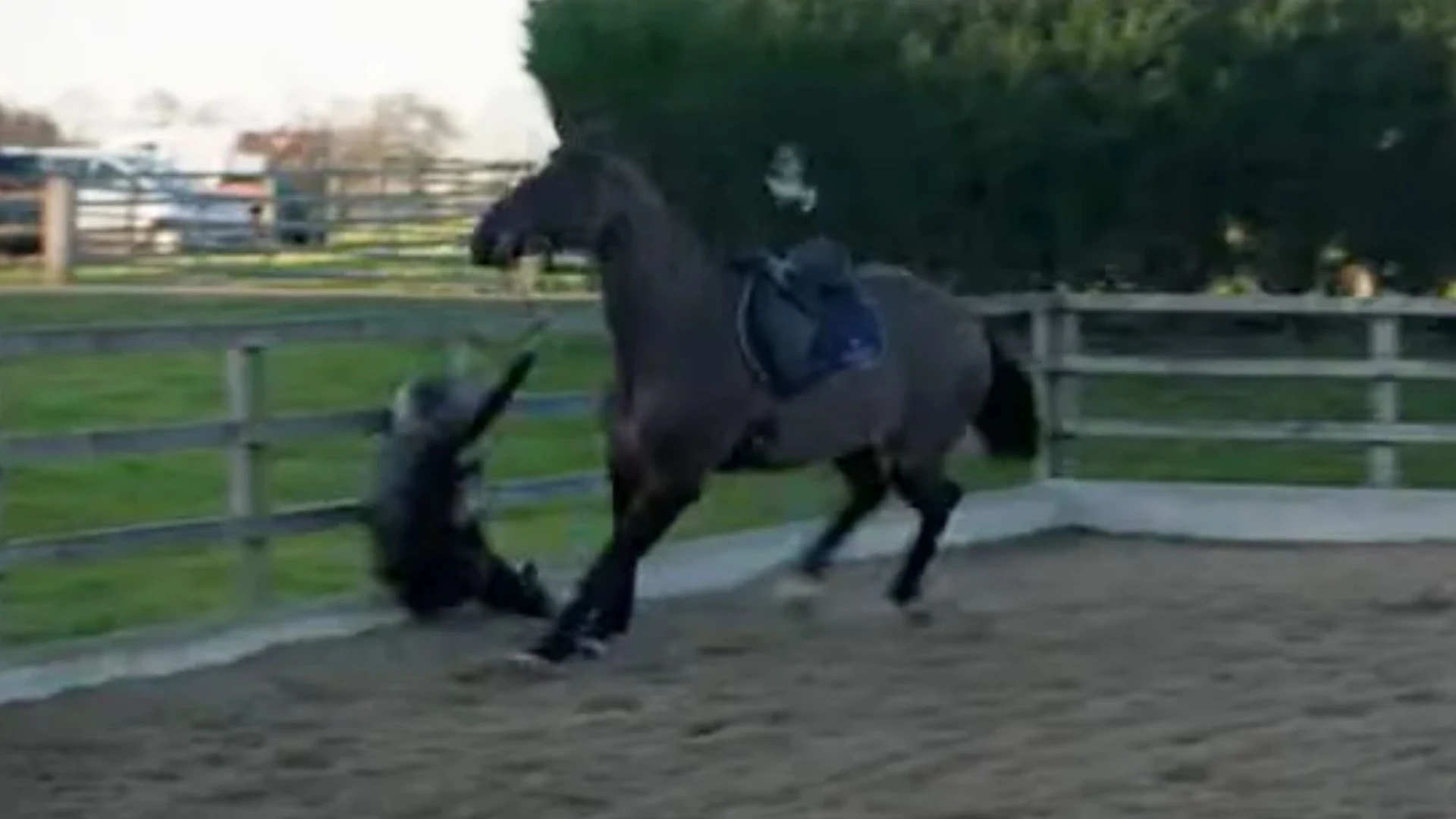 Horror moment Molly-Mae thrown from horse into fence as pals ask ‘can you breathe?’