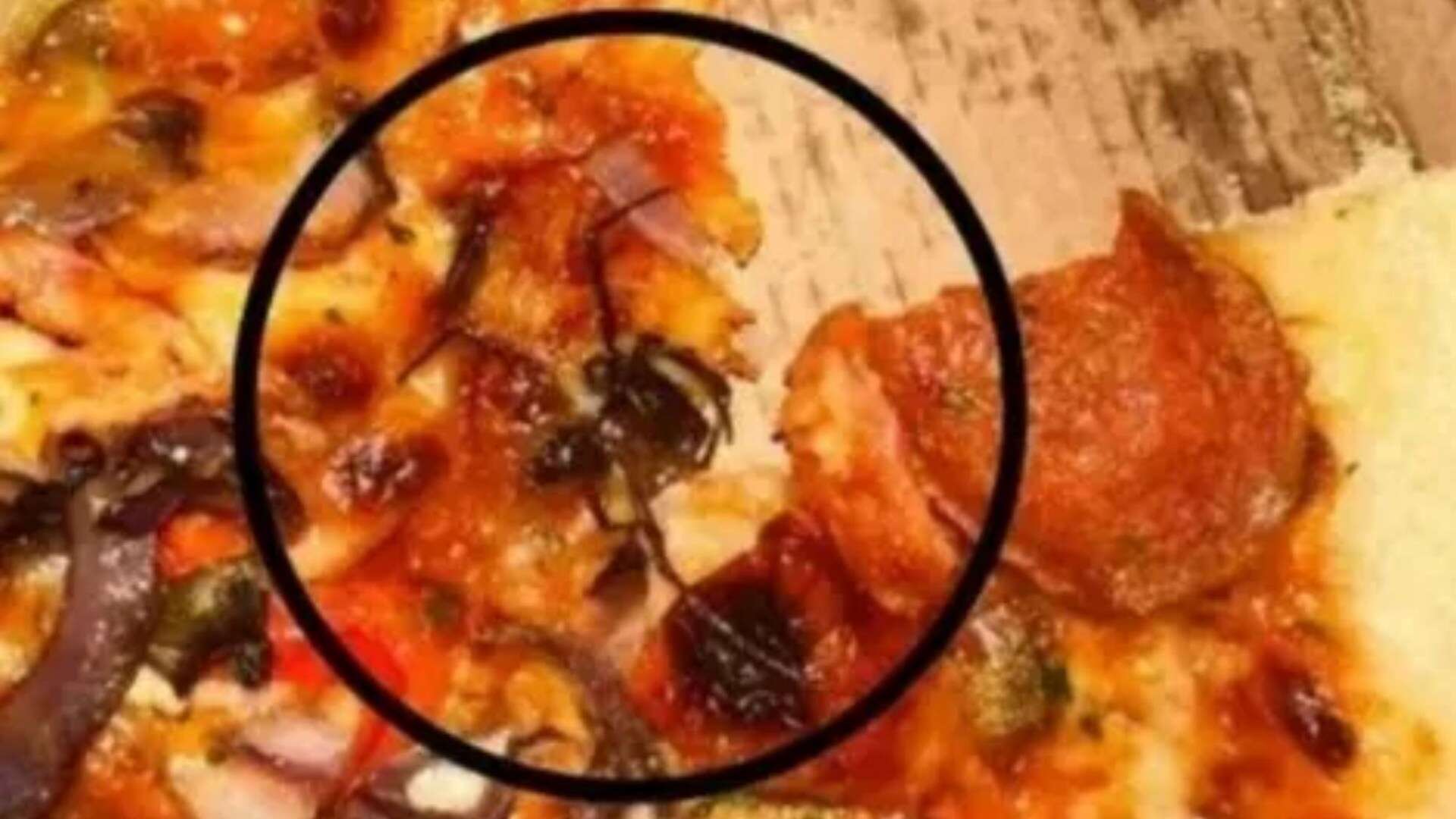 I was shocked after finding a SPIDER baked into toppings of my Pizza Hut