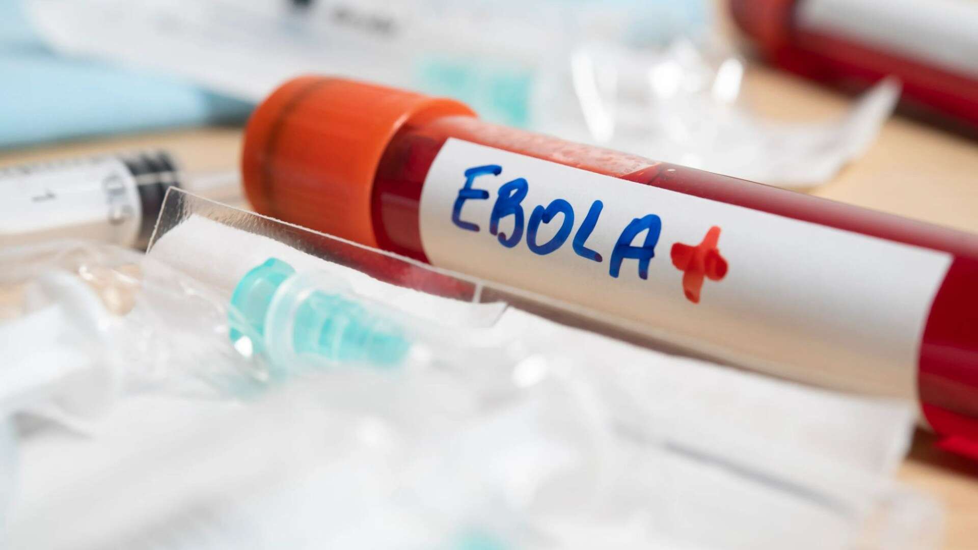 Ebola outbreak kills 8 after cousin virus kills 9 in neighbouring country