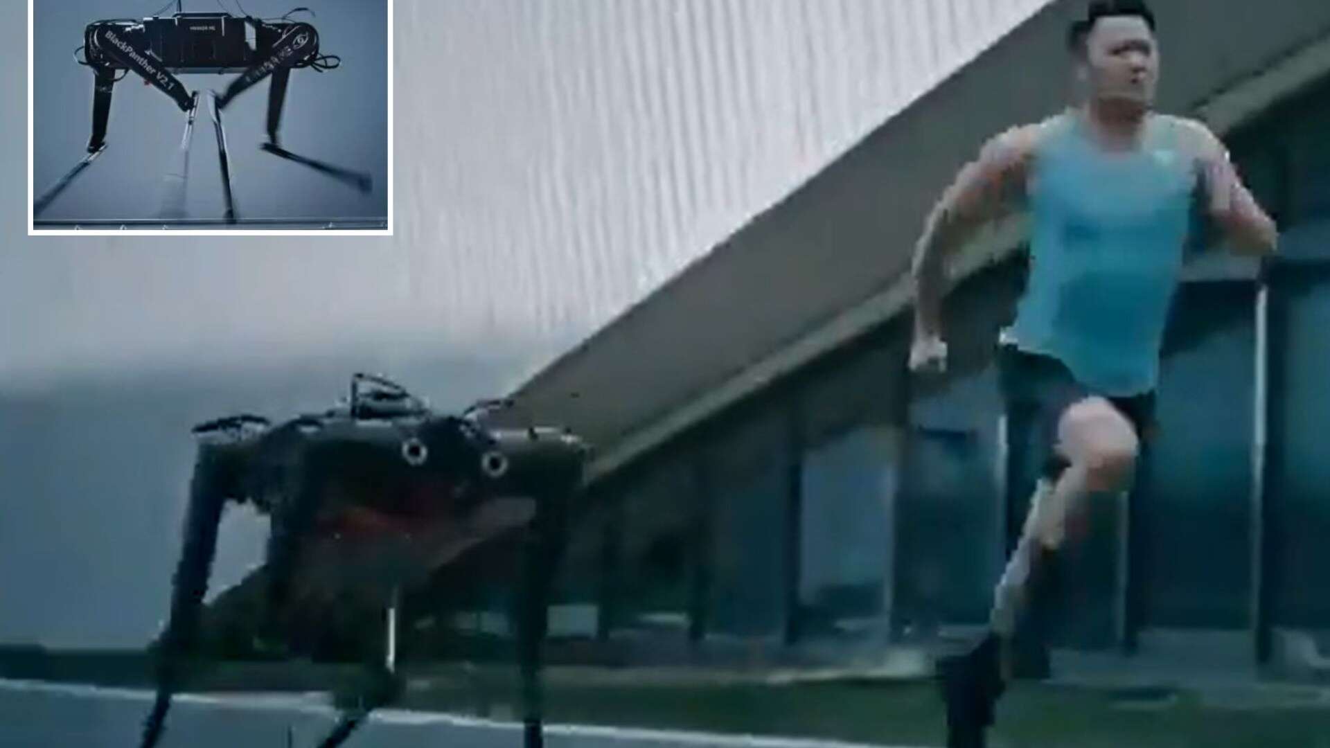 Watch robot dog that even Usain Bolt can't outrun as it sprints 100m in under 10secs