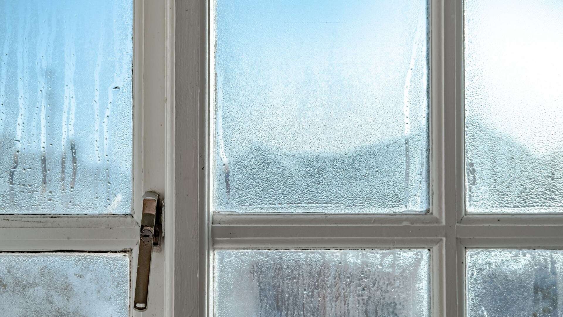 The 32p buy that’ll stop condensation forming on your windows overnight