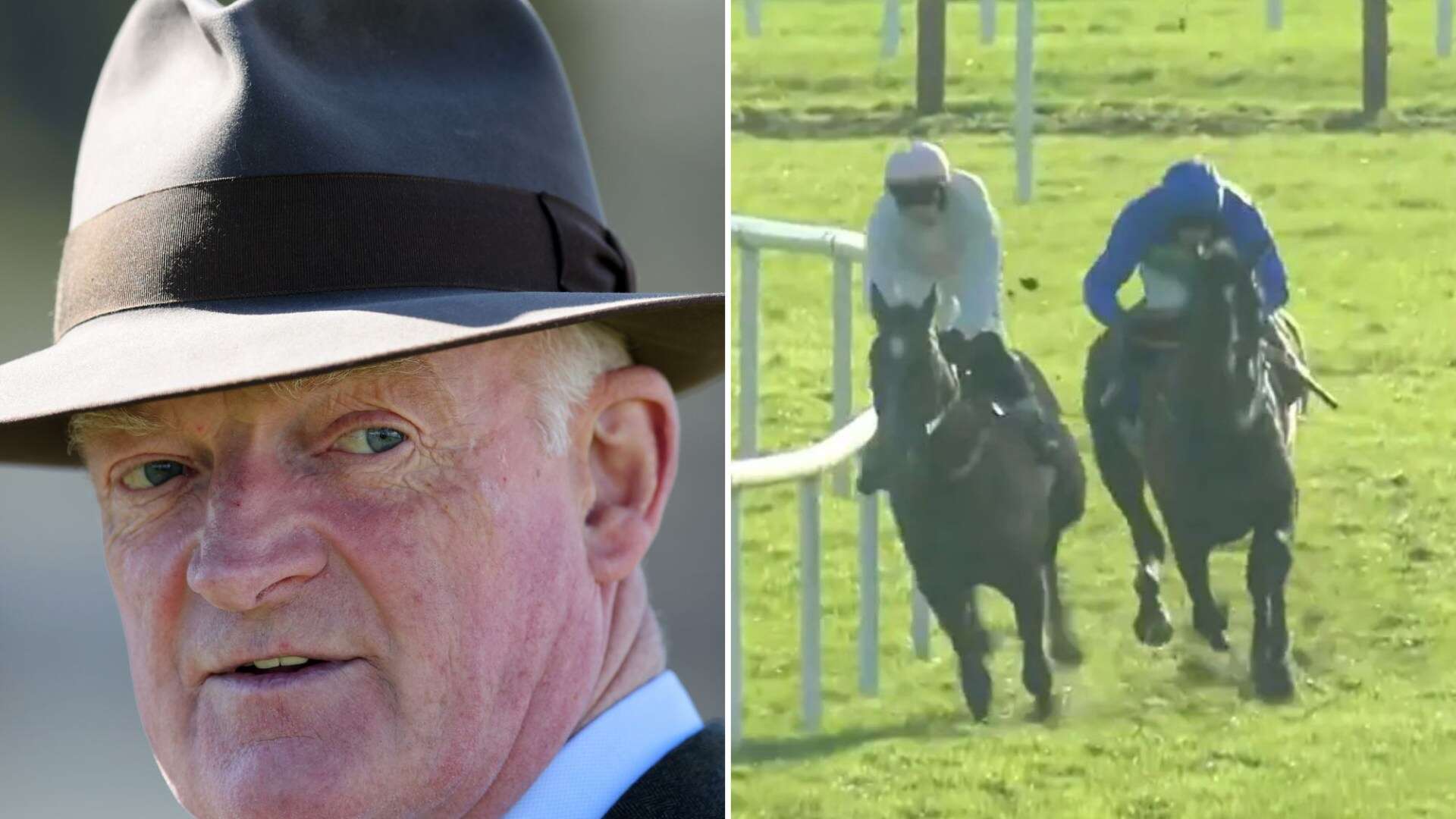 'That is a rocket' - £235,000 Willie Mullins horse smashed in Cheltenham betting