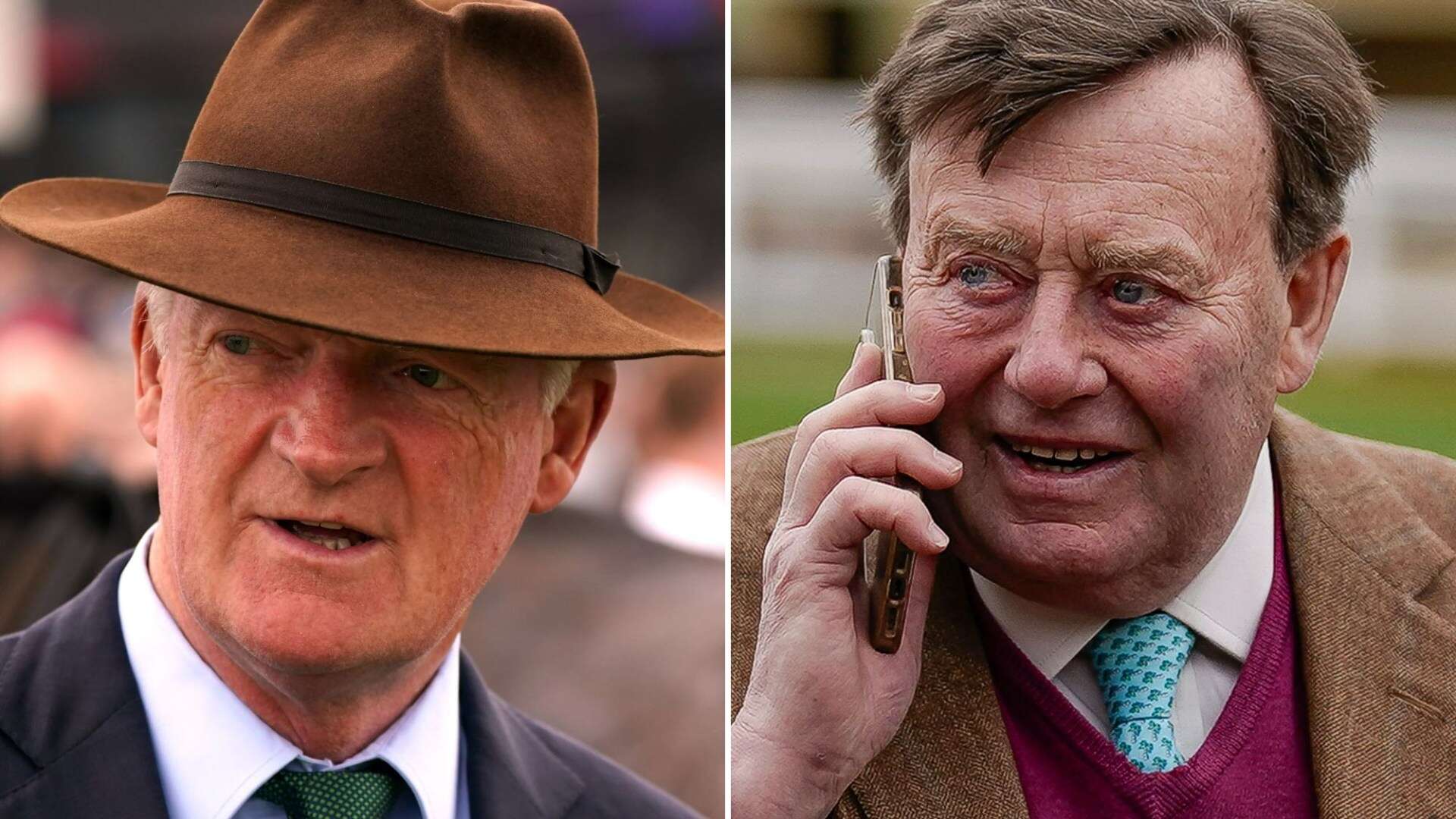 'If you backed him, you'll win' - The Cheltenham horses bookies fear the most