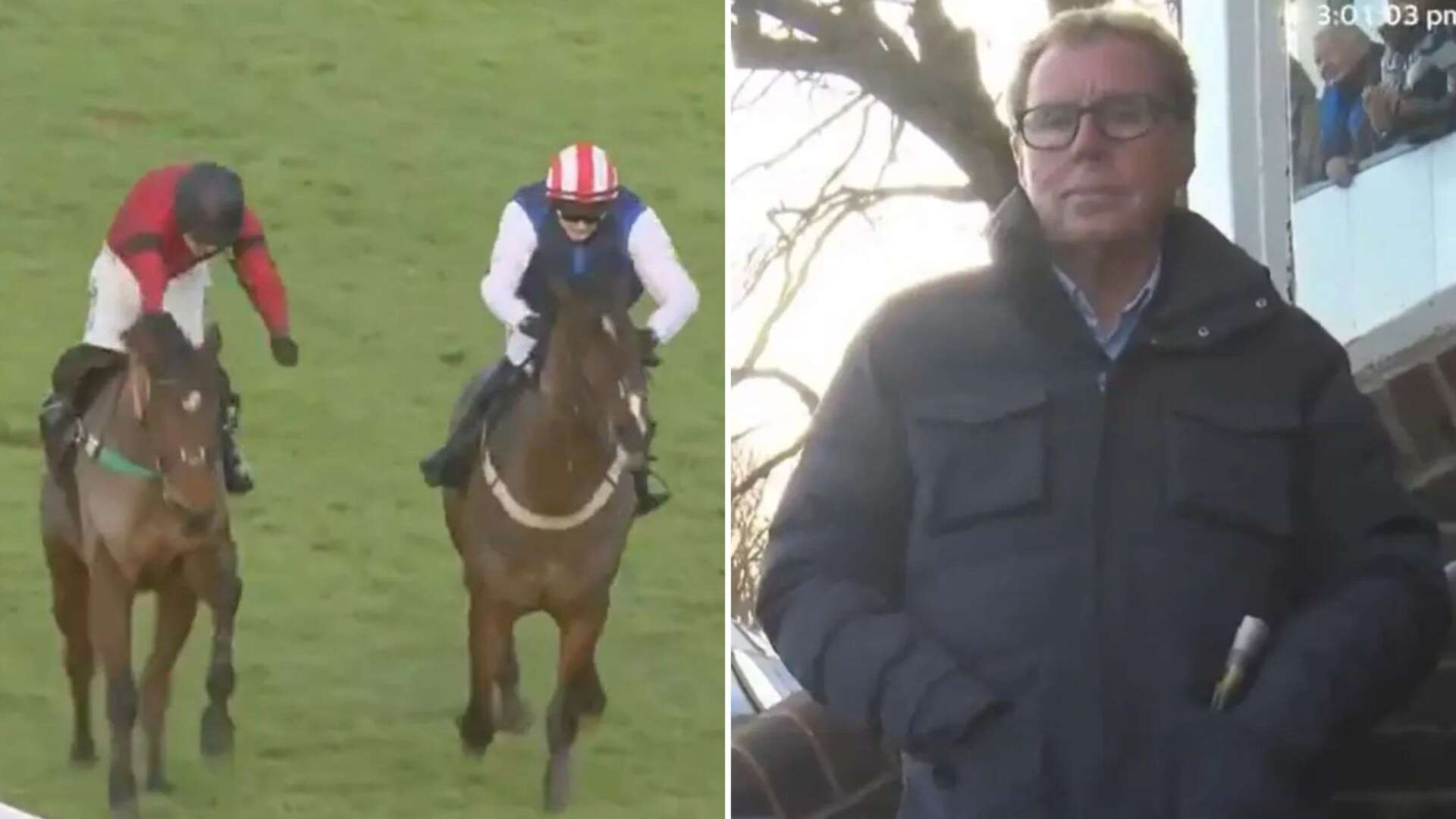 Harry Redknapp in disbelief after 1-100 horse beaten in 'bizarre' circumstances