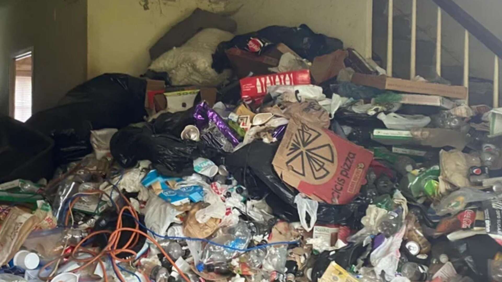 My hoarder neighbour’s home is shocking - cleaners found dead cats amongst rubbish