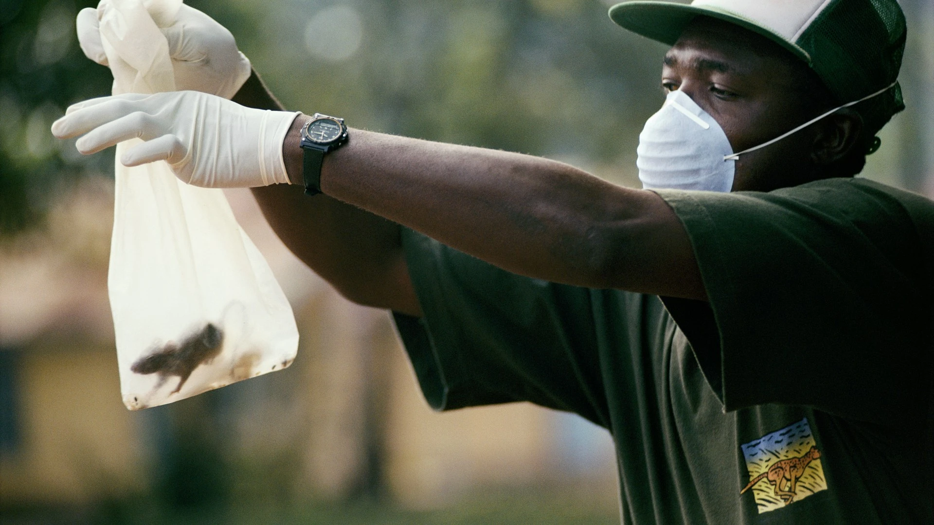 'Rat fever’ kills 119 and ‘infects 3500' as people urged to 'stay at home'