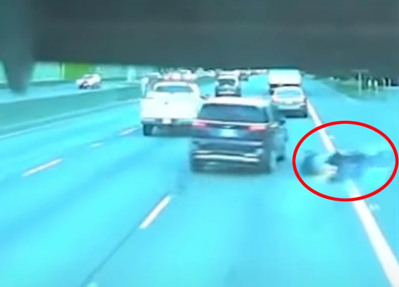 Moment 4x4 completely wipes out motorcyclist in shocking road rage hit & run