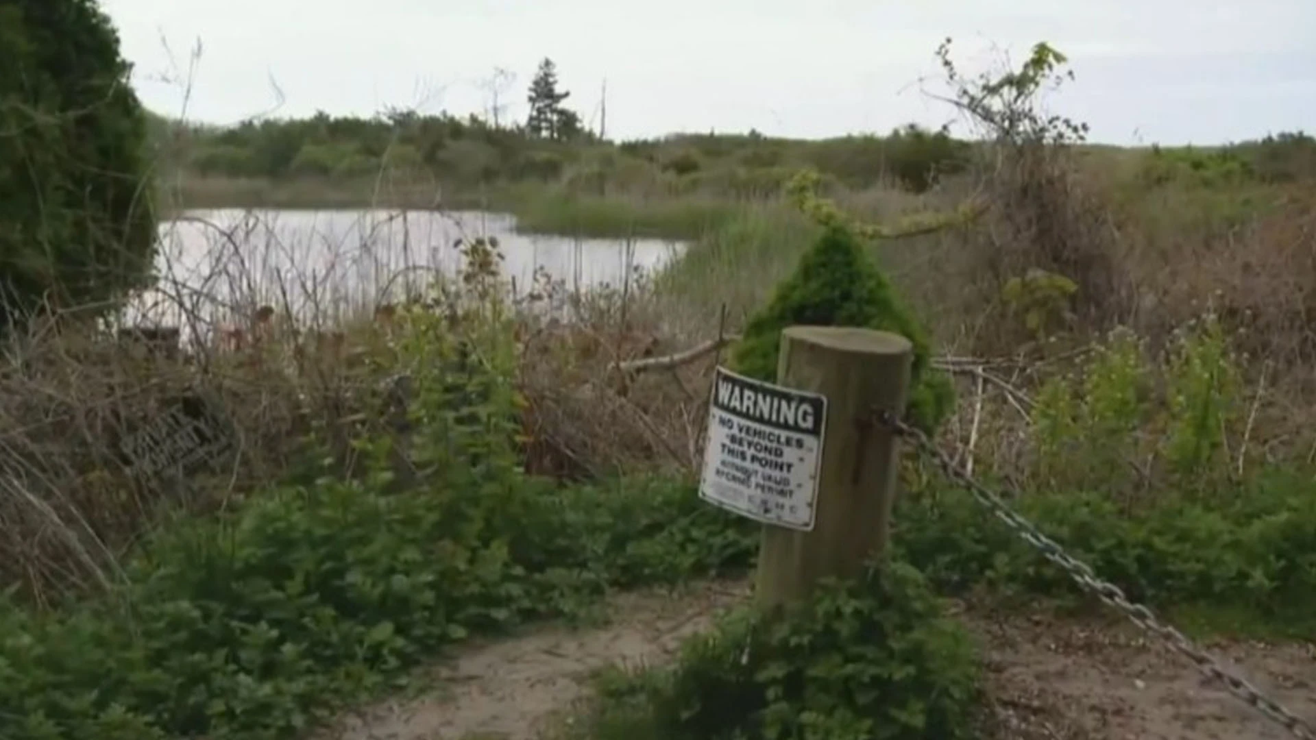 'Human remains' found near Taylor Swift's home reigniting serial killer fears