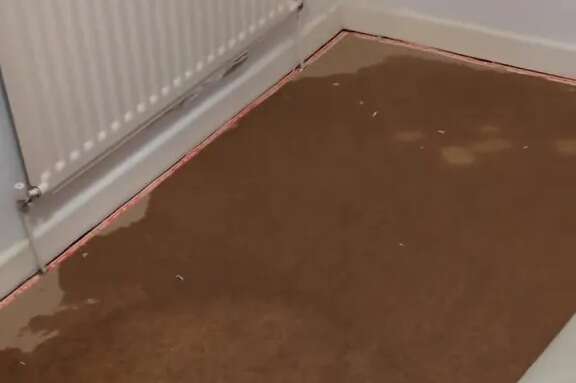 Woman claims rug cleaning device left 'musty smell' & DRENCHED underlay