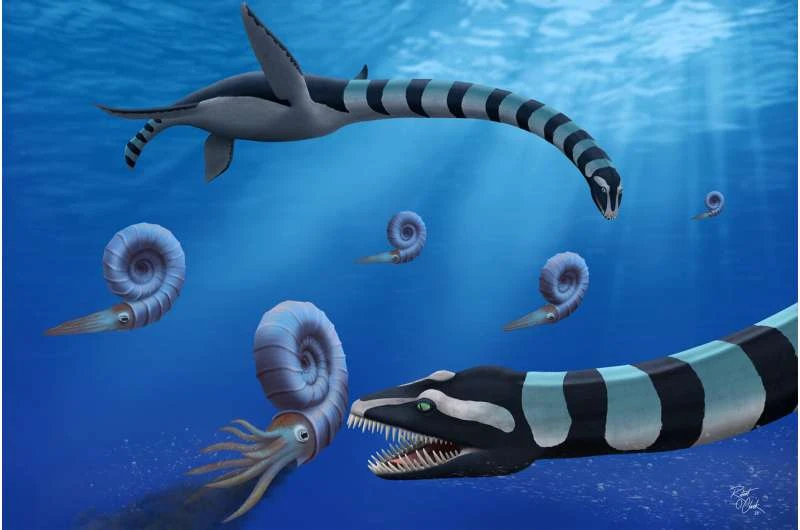 Mystery behind 85m-year-old sea monster with giant teeth solved after decades