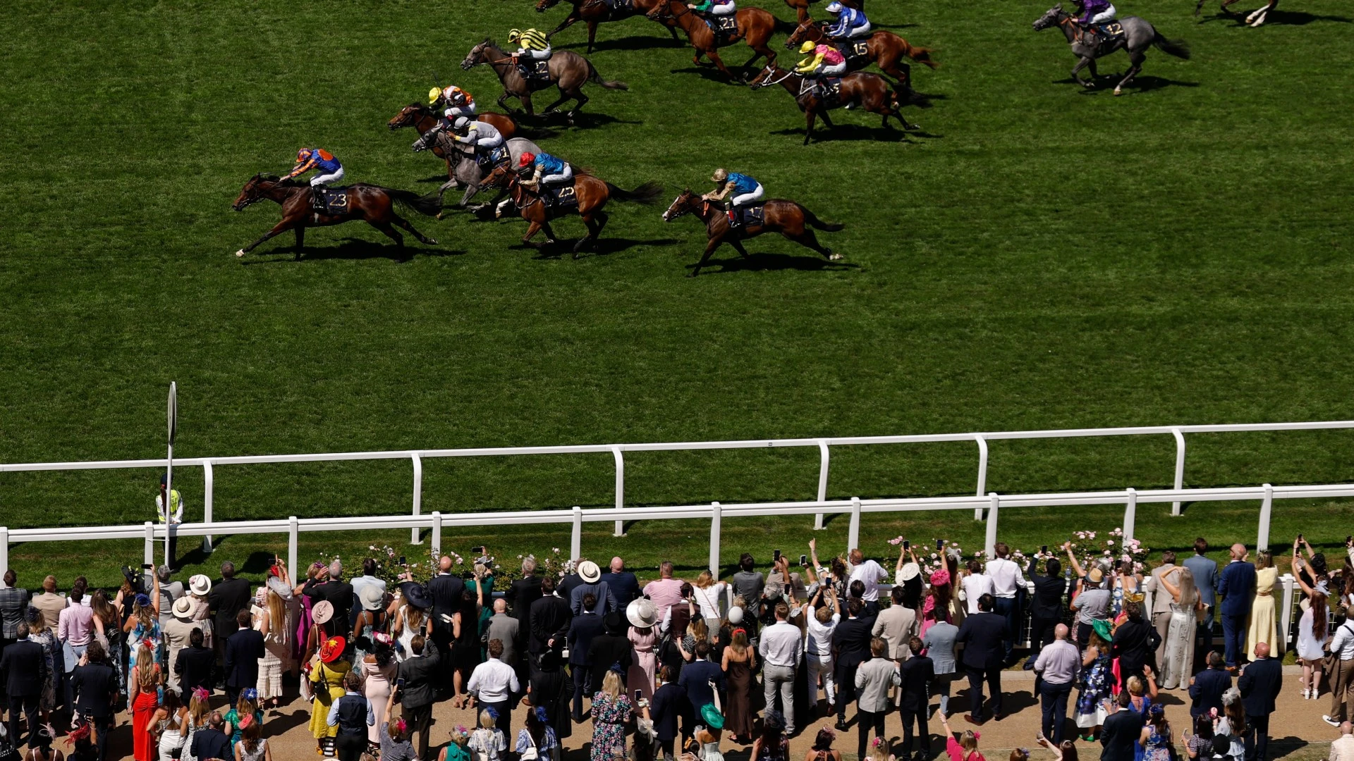 'Horrible' scenes at Ascot as 'magnificent' horse tragically dies in first race