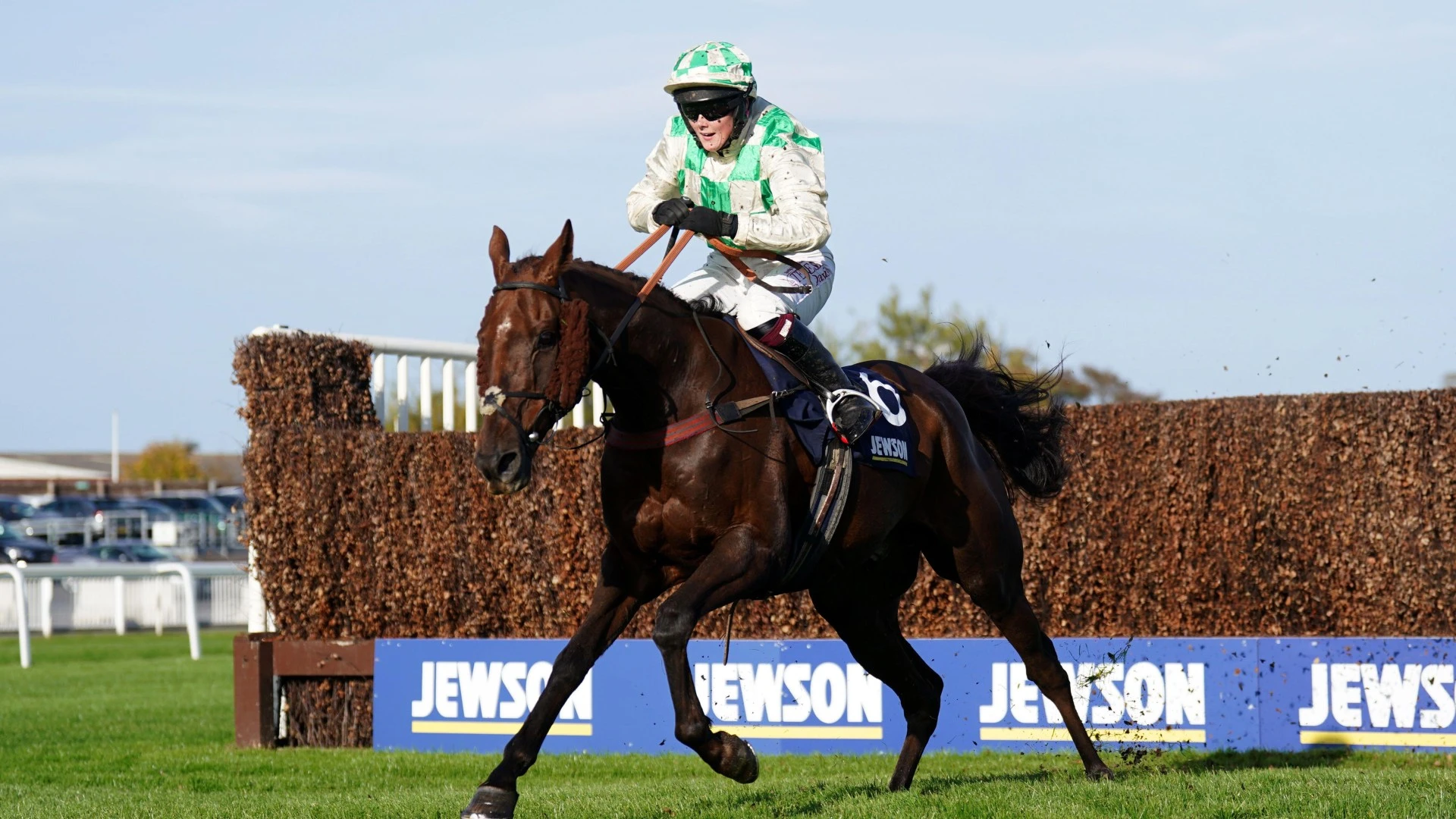 'Key factor' in death of National horse Celebre D'Allen revealed