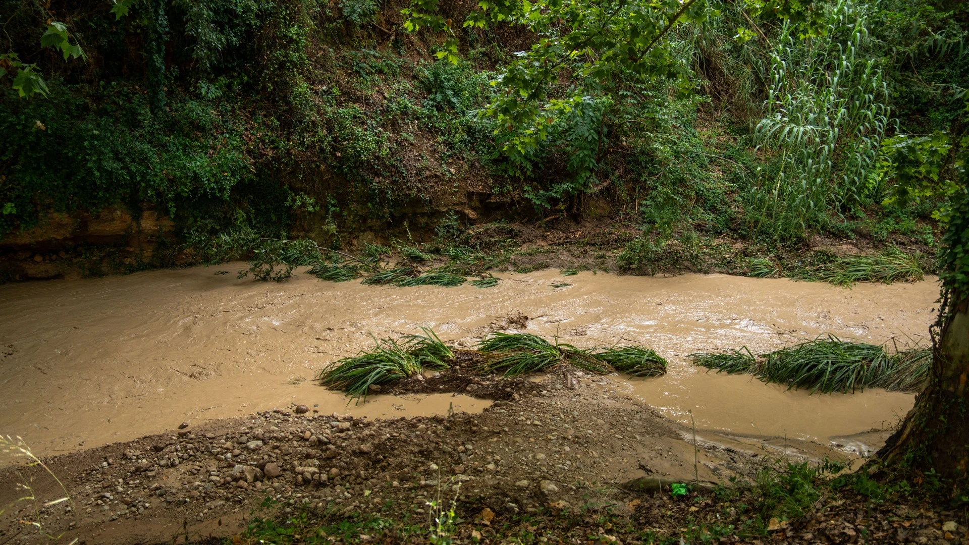 Search operation underway after 2 people were 'swept away by river' in Spain