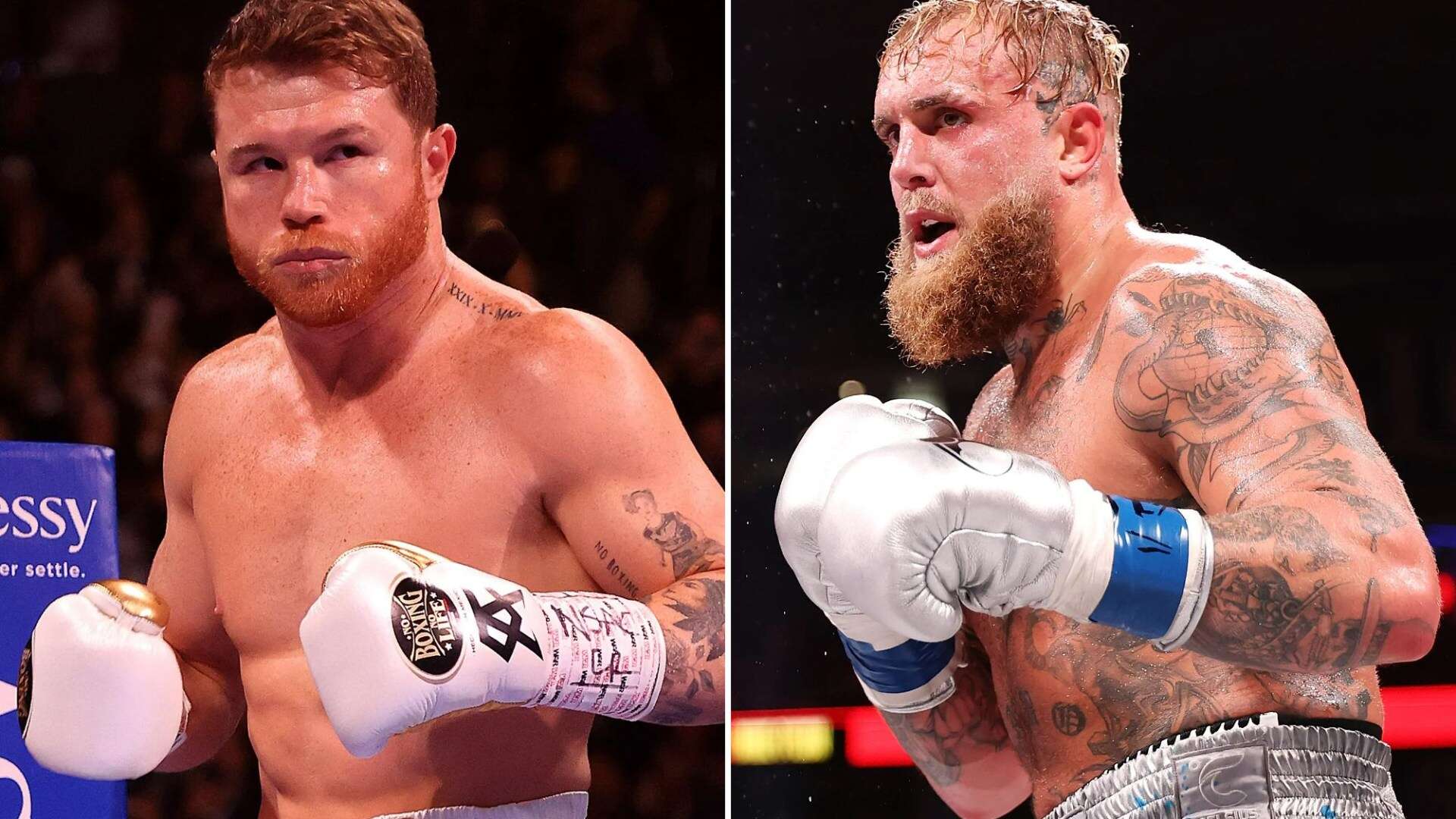 Jake Paul 'has deal to fight Canelo' but fans all fear what it means