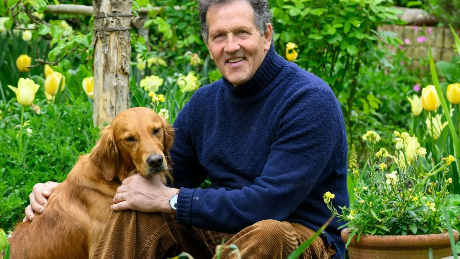 4 gardening jobs to tackle before spring & the mistakes Monty Don warns against