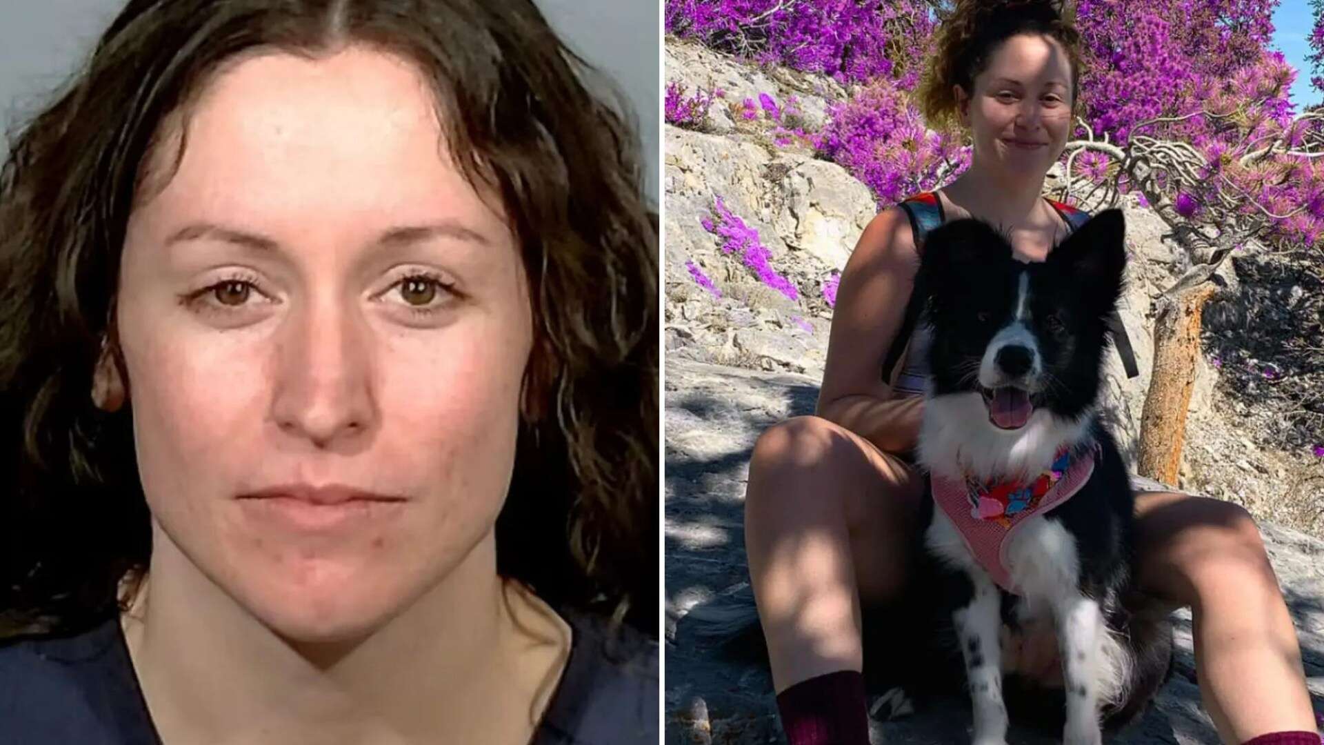 Sicko, 31, admits filming 153 bestiality vids with dog…& makes bizarre excuse