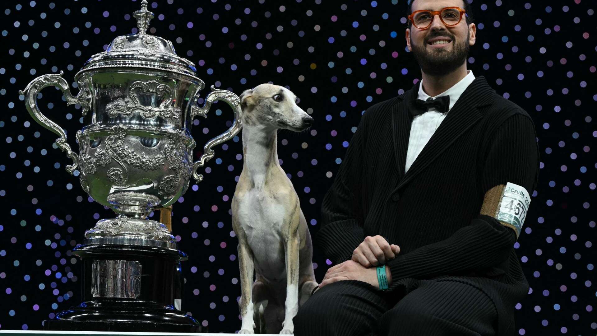 Crufts 2025's Best in Show winner backlash as favourite is 'robbed', claim fans