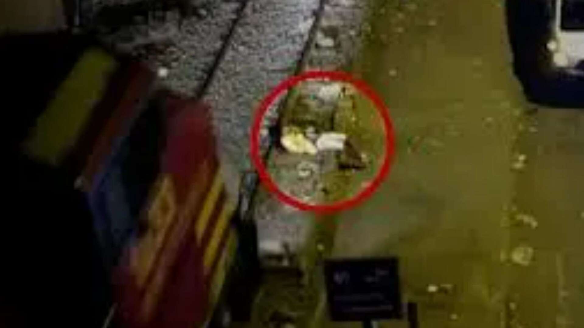 Watch moment drunk man asleep on tracks is run over by a TRAIN and walks it off