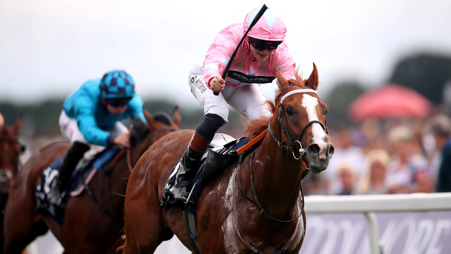 Fairytale sprinter Live In The Dream 'nearly died' and unlikely to race again