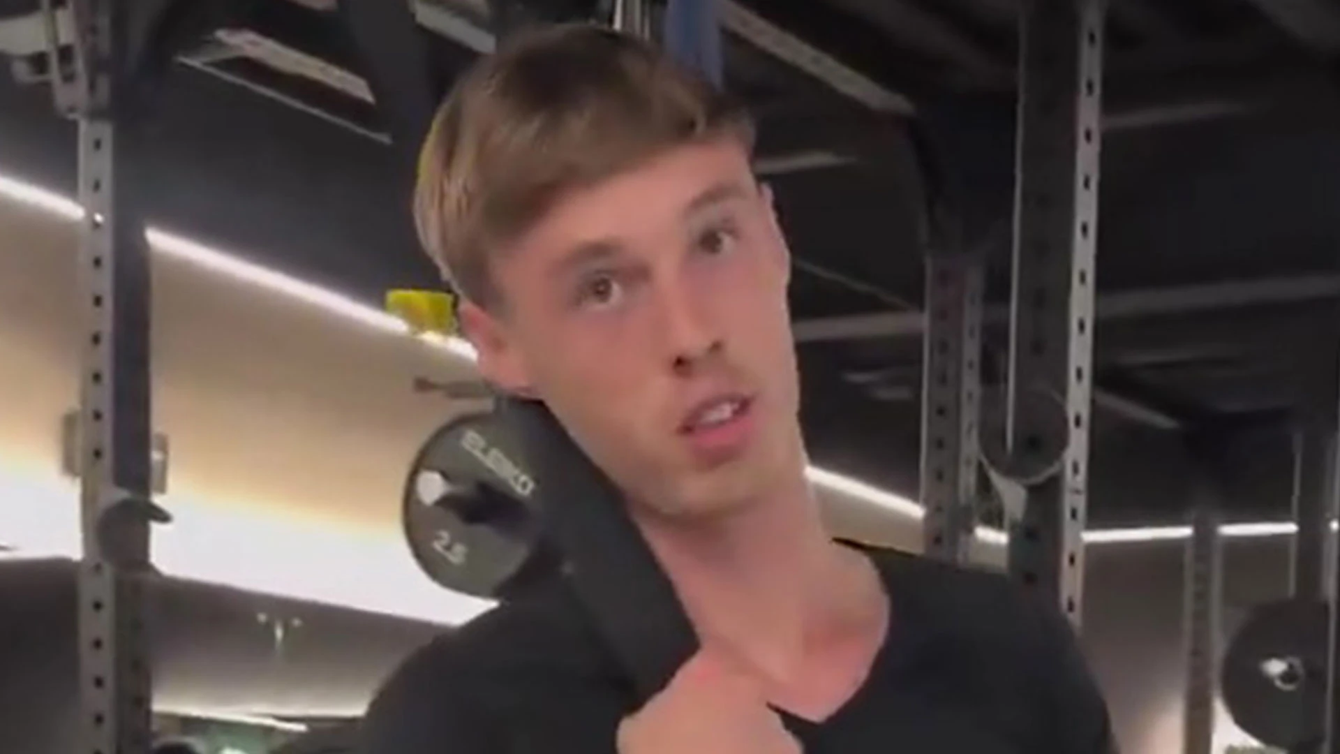 Palmer 'too funny' as he explains how 100 of him would beat gorilla
