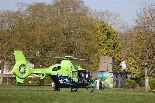 Woman suffers life changing injuries after horror 'XL bully' attack