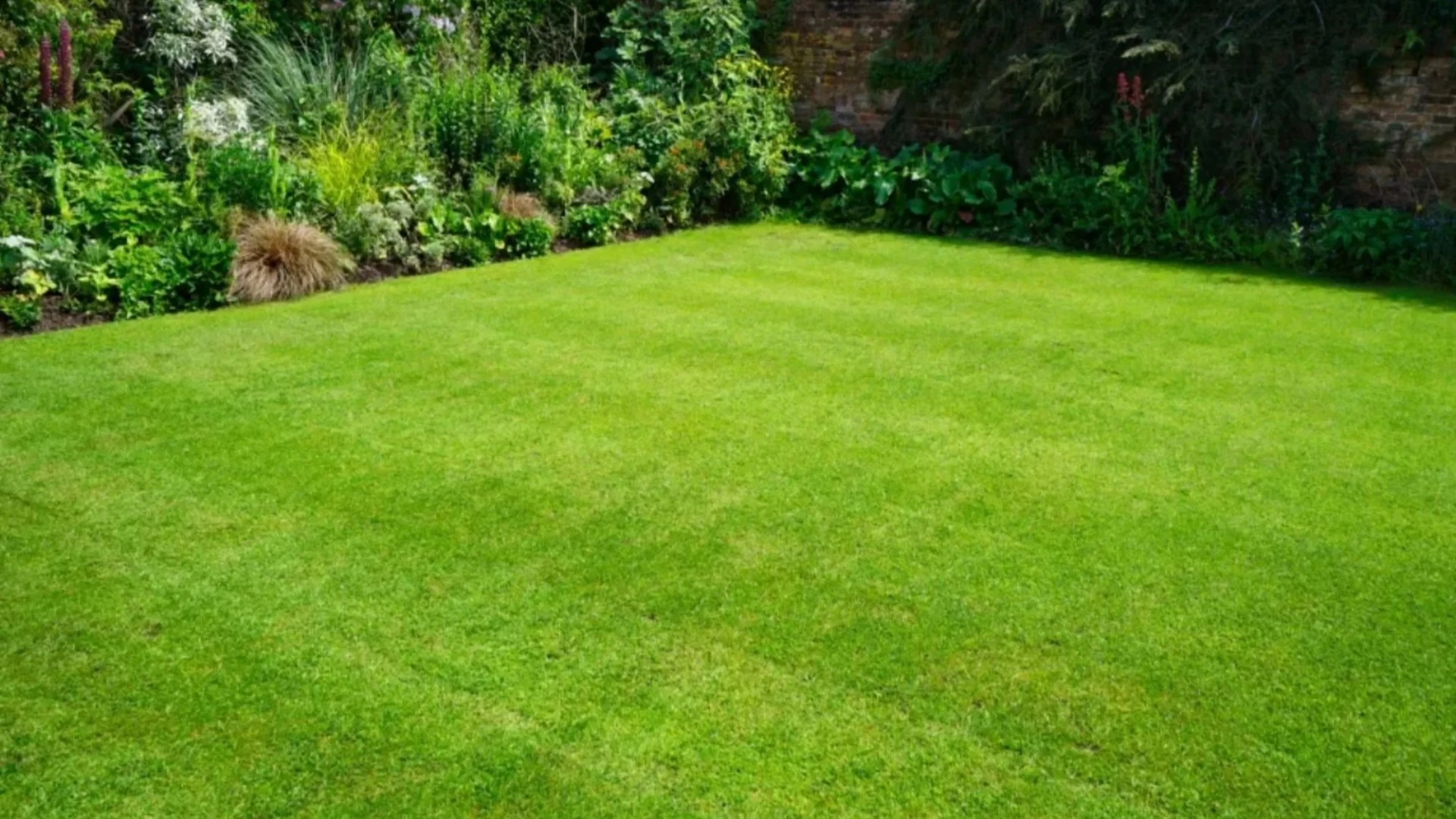 Spoonful of 89p Aldi buy will banish bald, brown patches on your lawn