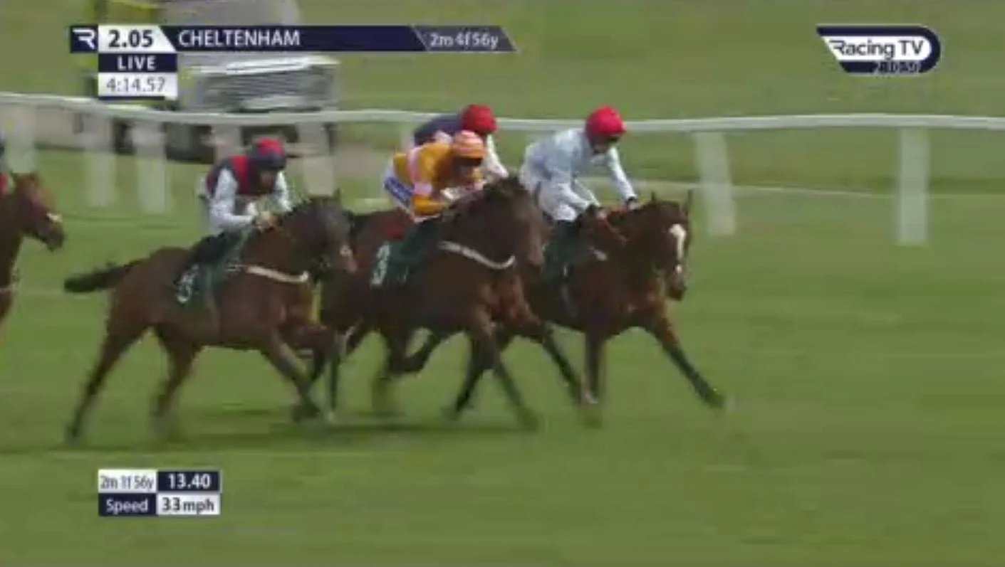 Tragedy strikes Cheltenham races as horse dies just yards past finish line