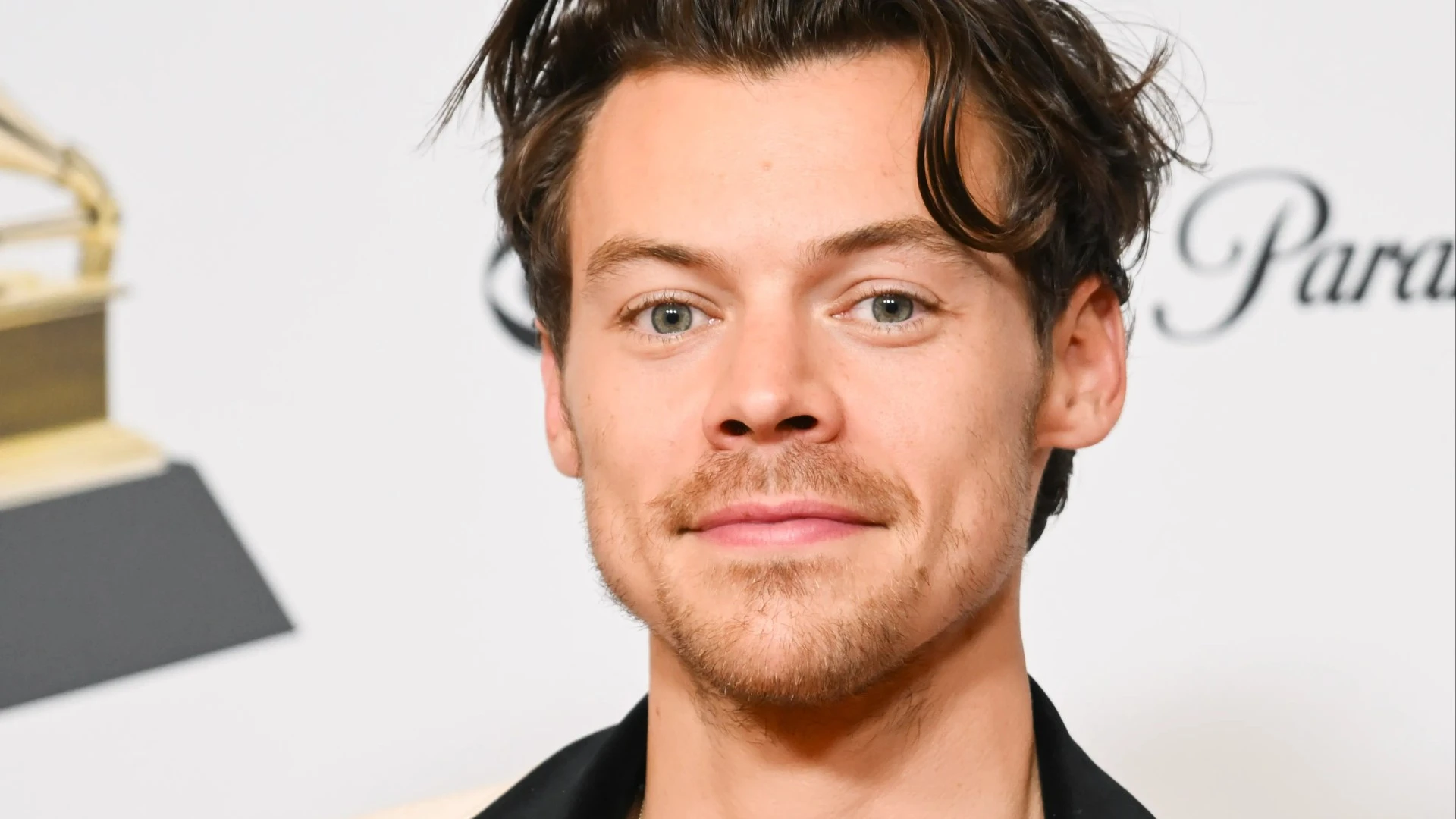 Harry Styles in row over 'overbearing' plans for huge new 'mega mansion'