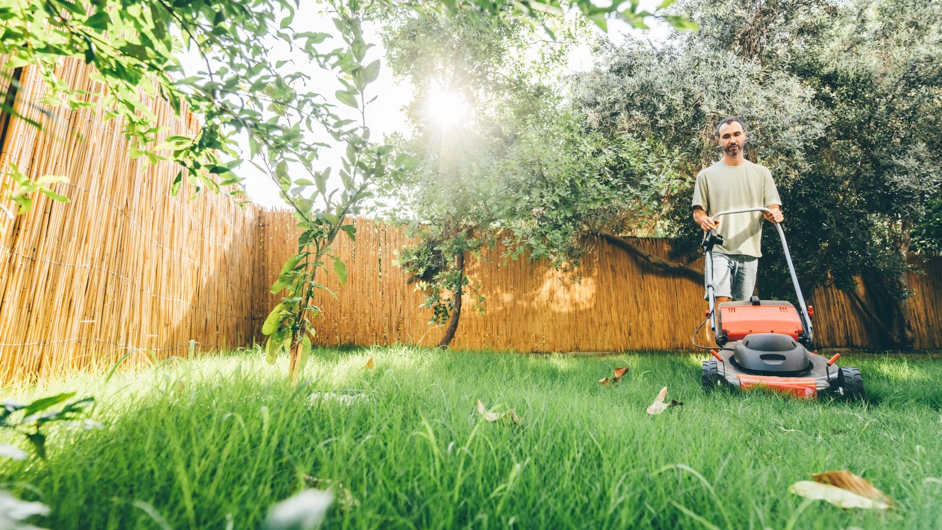 The five simple steps you must take now for a perfect summer garden lawn