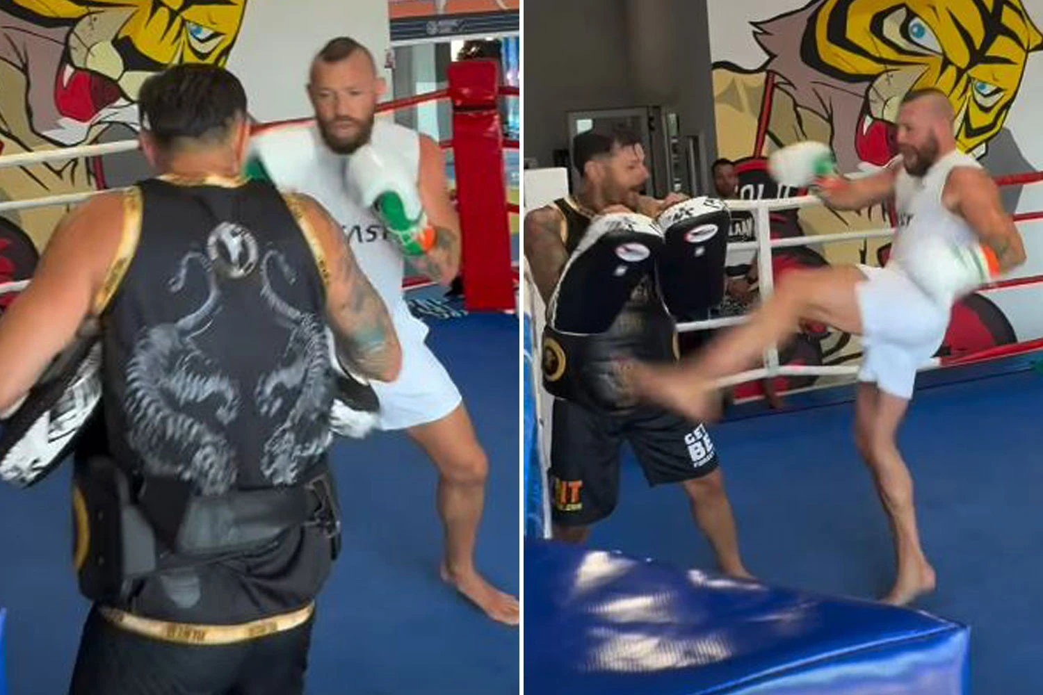 UFC fans beg Conor McGregor to 'stay retired' after 'sad' training footage