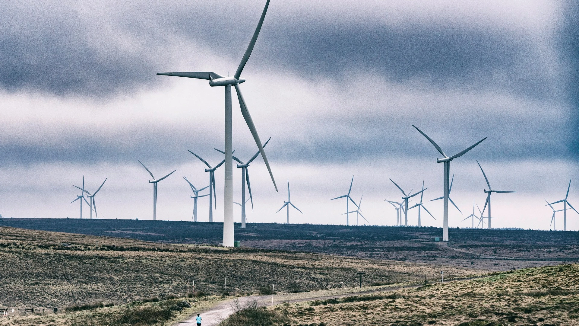 More voters think Net Zero has made them worse off than improved living standards