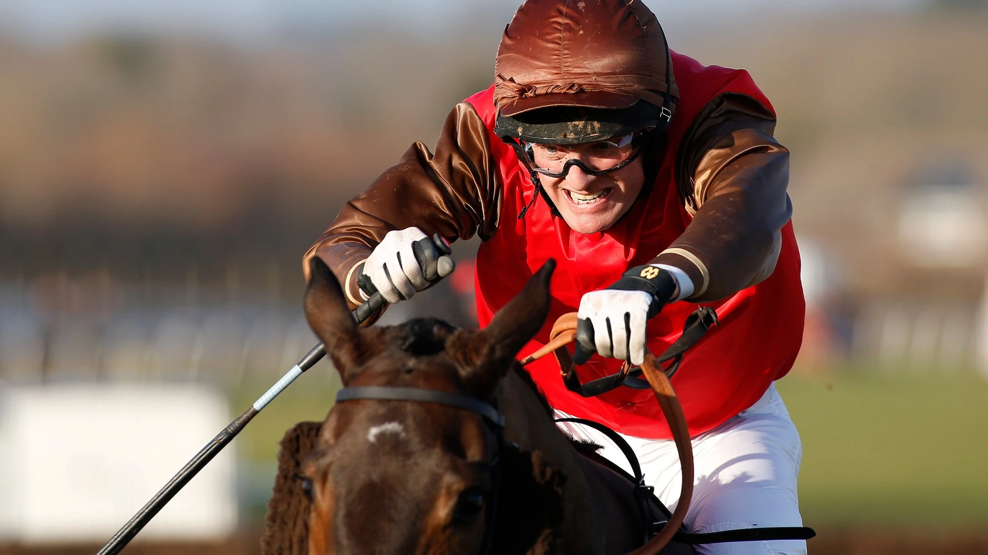 Millionaire jockey retires with immediate effect and sells all 16 of his horses