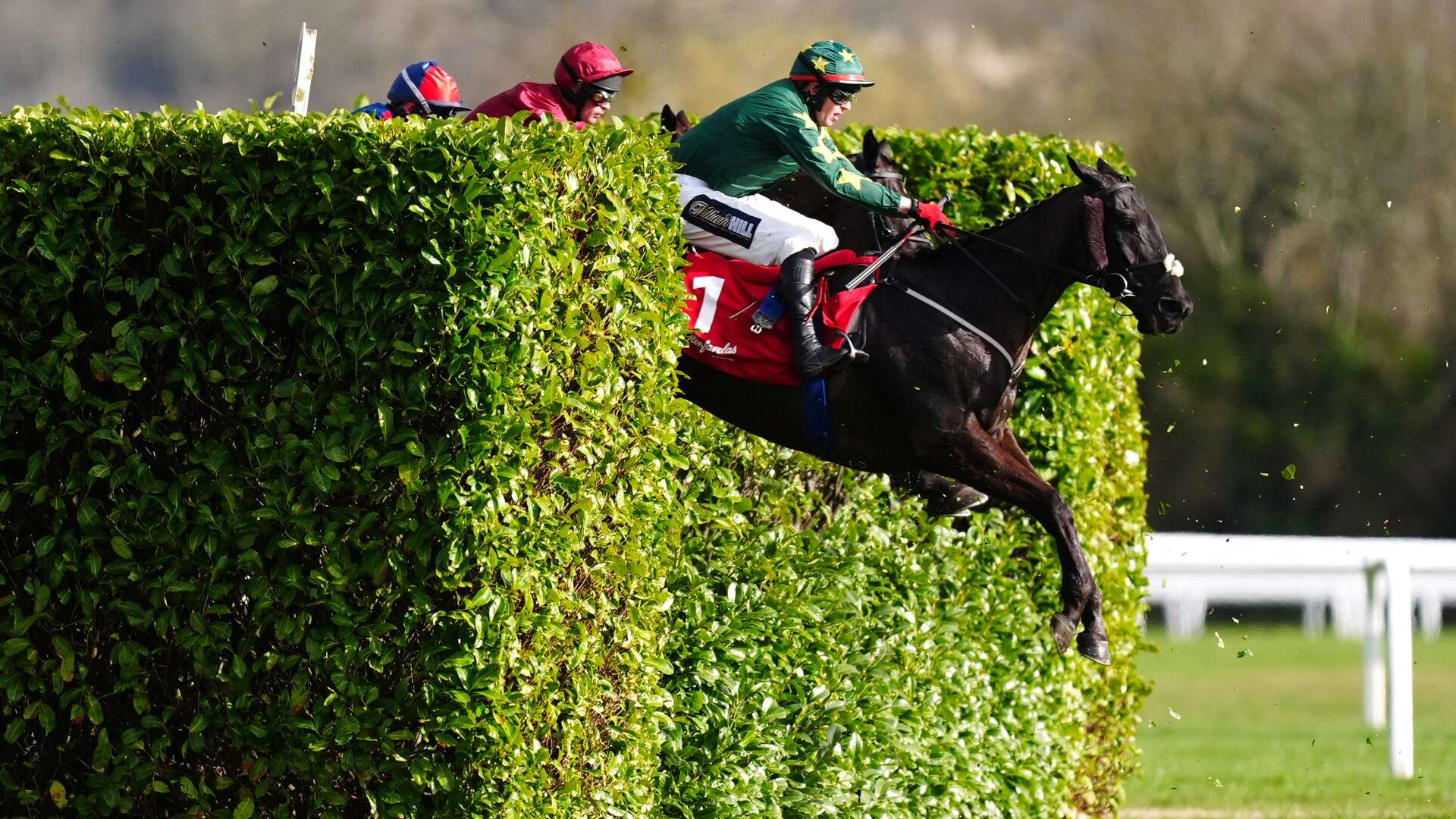 'Next Tiger Roll' most popular Grand National bet after record-breaking win