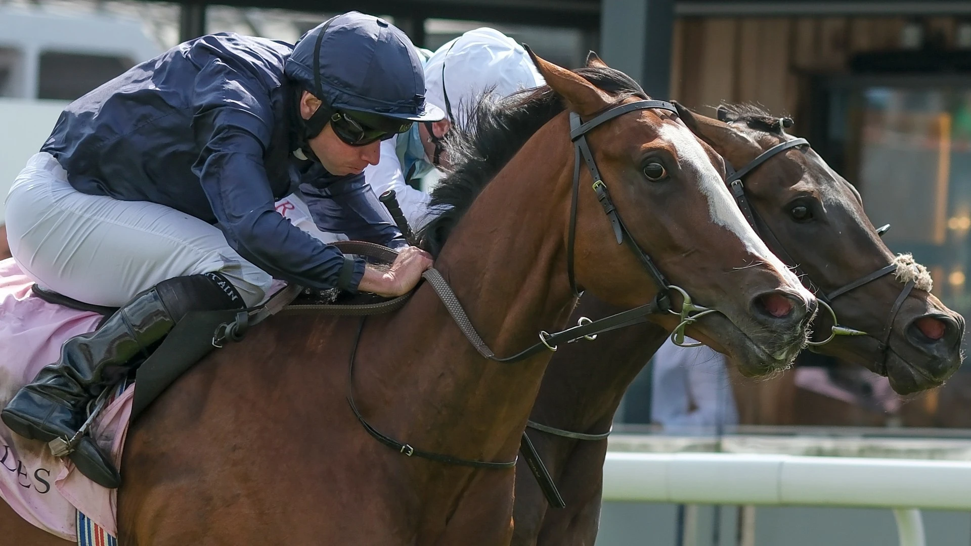 Aidan O'Brien horse cut for Derby after 'ridiculous' Ryan Moore ride