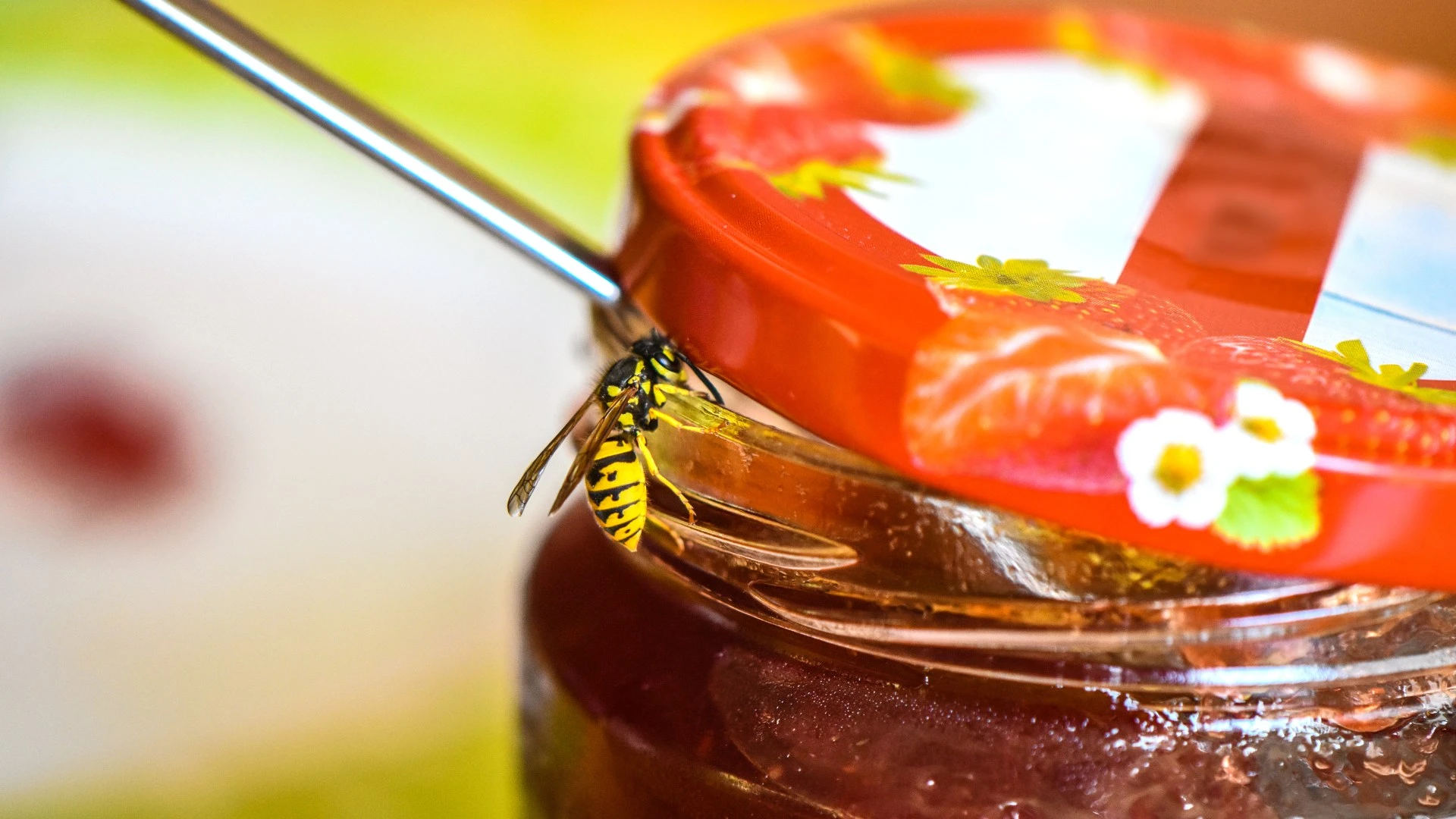 I'm a gardening expert, my 22p hack will banish wasps from your garden