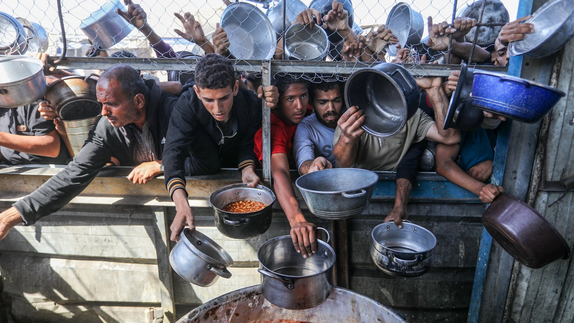 Gaza is now 'hungriest place on Earth' with entire region at risk of famine